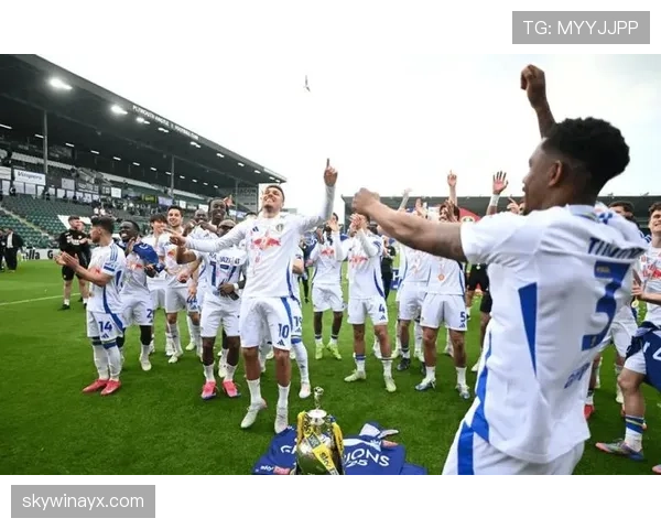 埃弗顿强势复苏，冲击欧战资格成新赛季焦点