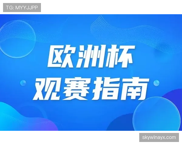 新欧洲杯全面升级安保措施，力保赛事安全与球迷观赛体验