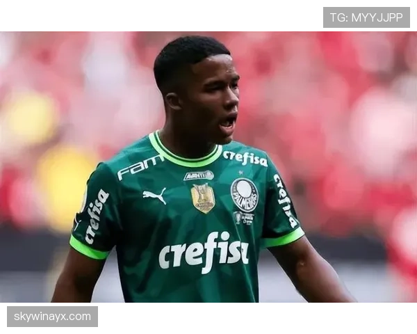 恩德里克南美影响力解析